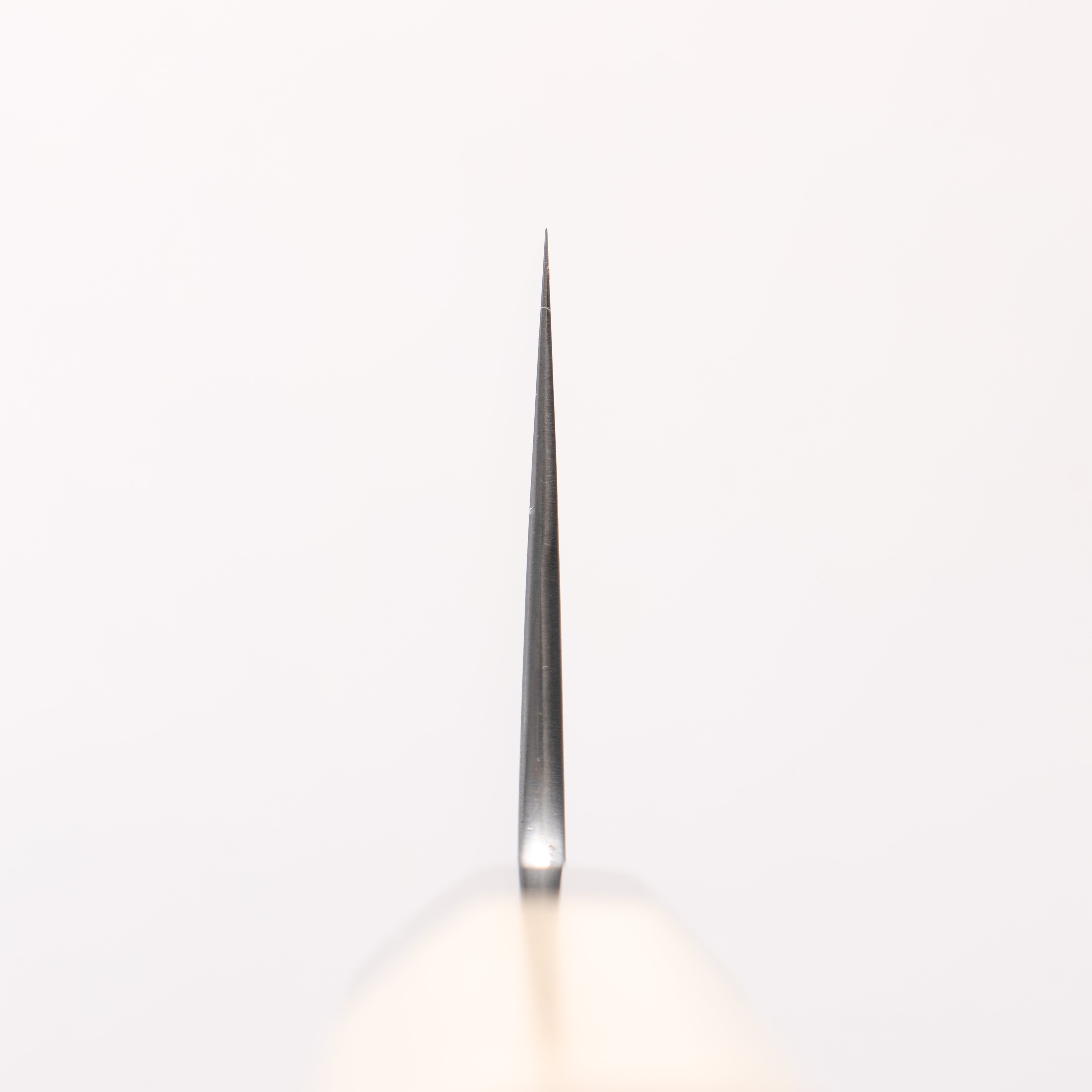 Kikuzuki White Steel No.2 Kasumitogi Gyuto 240mm Magnolia Handle - Seisuke Knife