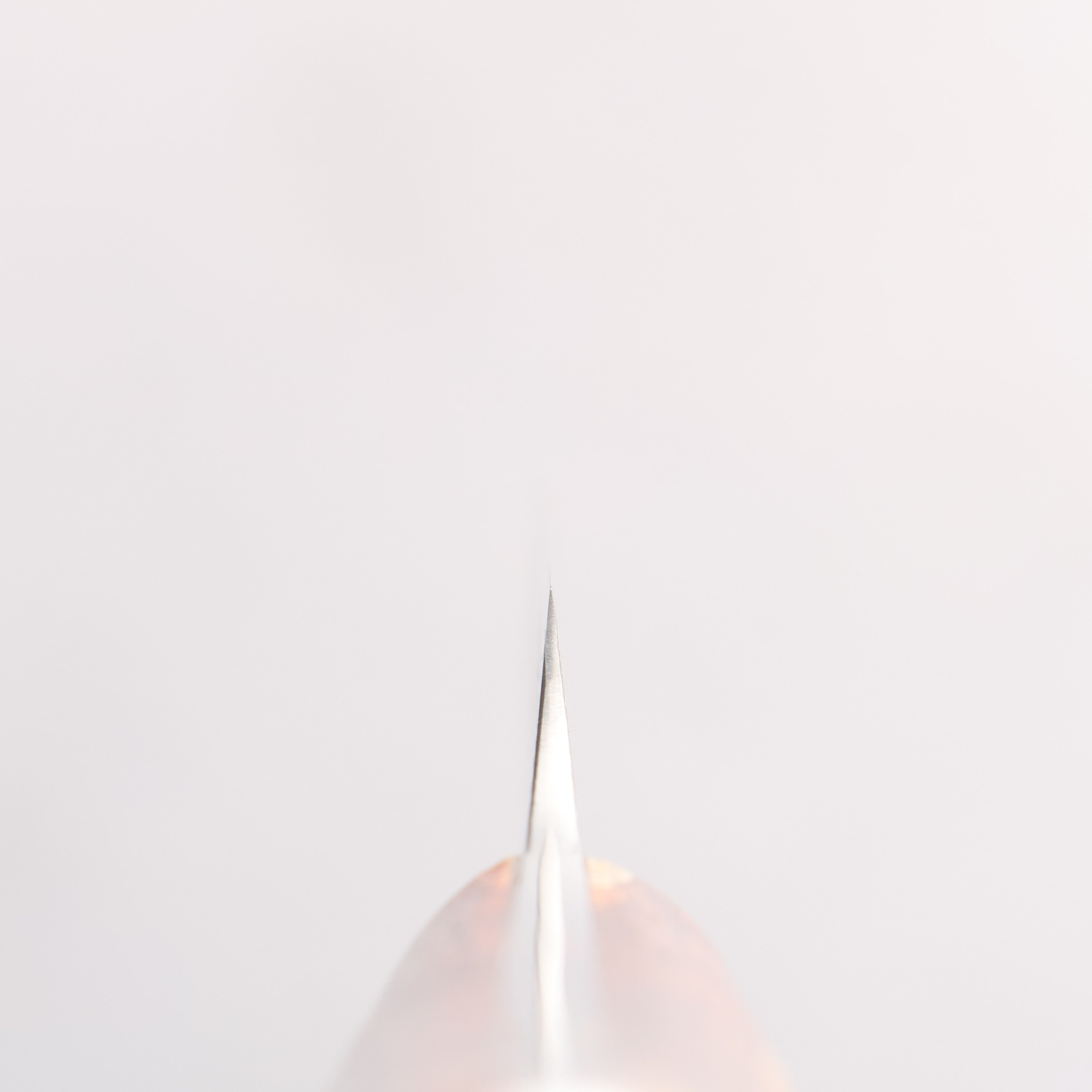 Takeshi Saji SG2 Damascus Diamond Finish Steak 125mm Kumiko (Wood Mosaic) Handle - Seisuke Knife