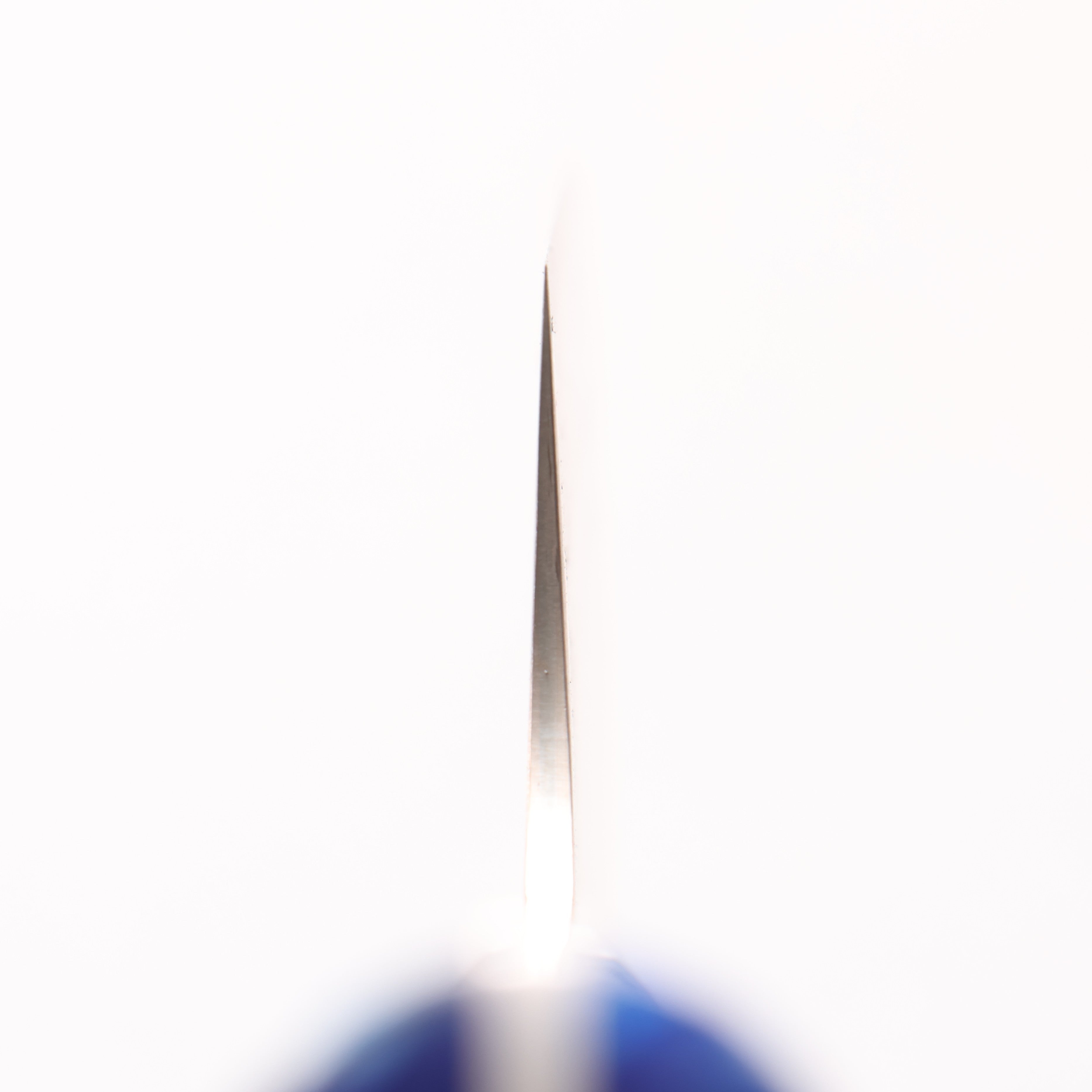 Takeshi Saji VG10w Colored Damascus Nashiji Nakiri 165mm Pine Cone and Blue Acrylic Handle - Seisuke Knife