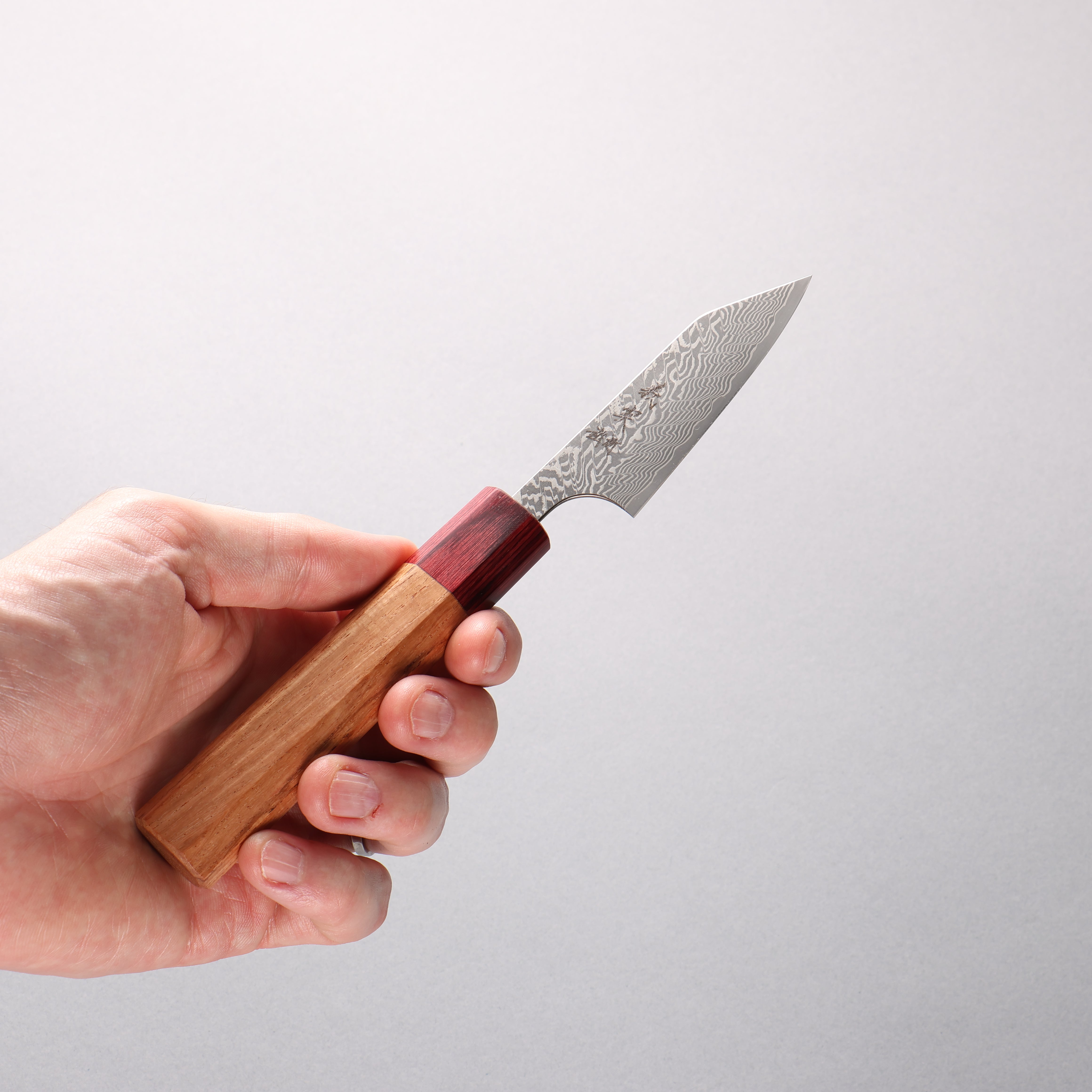 Yoshimi Kato SG2 Black Damascus Kiritsuke Petty-Utility 80mm Honduras (ferrule: Red Pakka wood) Handle