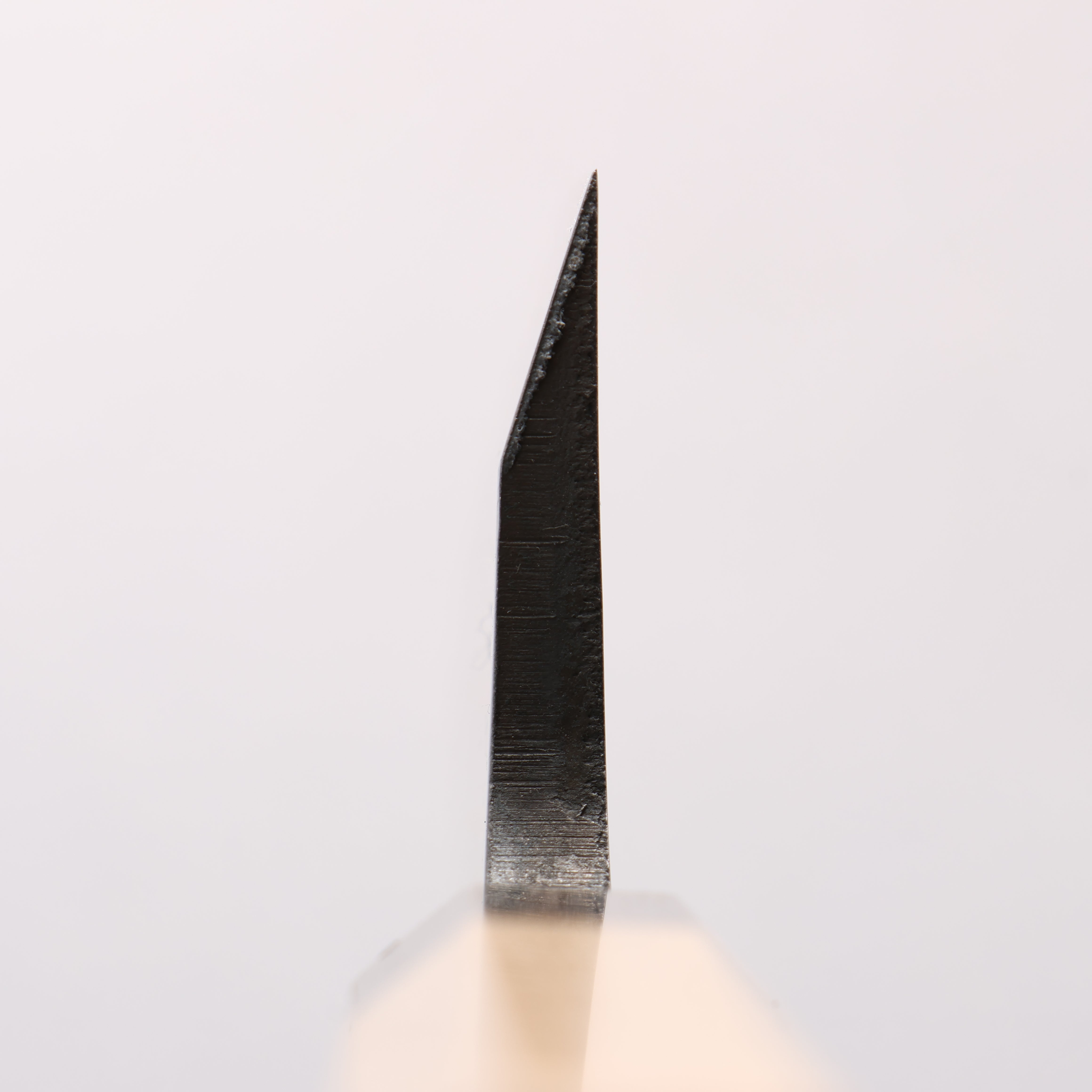 Seisuke AUS8 Deba 165mm Magnolia (Ferrule: Striped Ebony) Handle Sushi School Model - Seisuke Knife