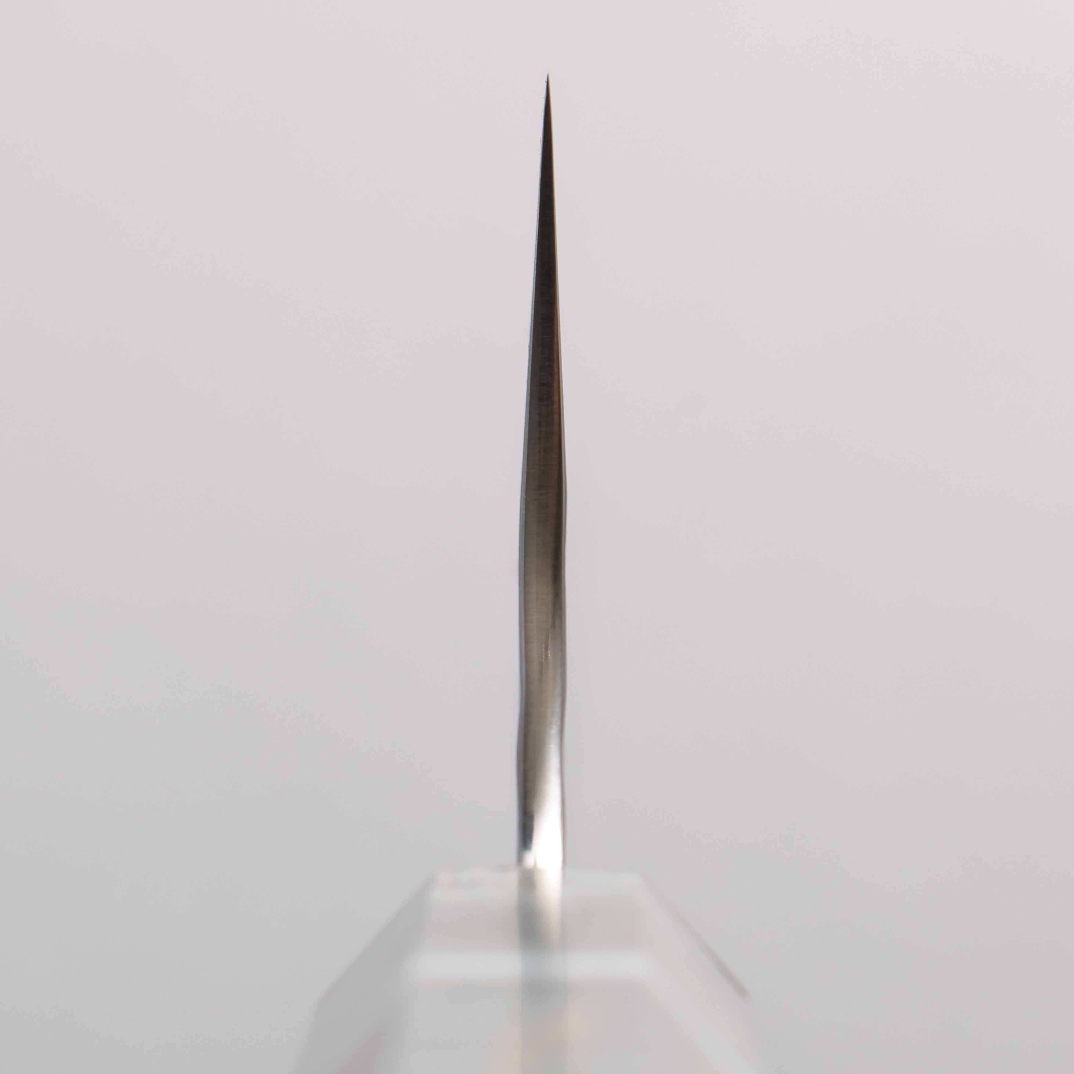 Yu Kurosaki Senko Ei SG2 Hammered Gyuto 210mm Stabilized Burl & White Ring Handle - Seisuke Knife