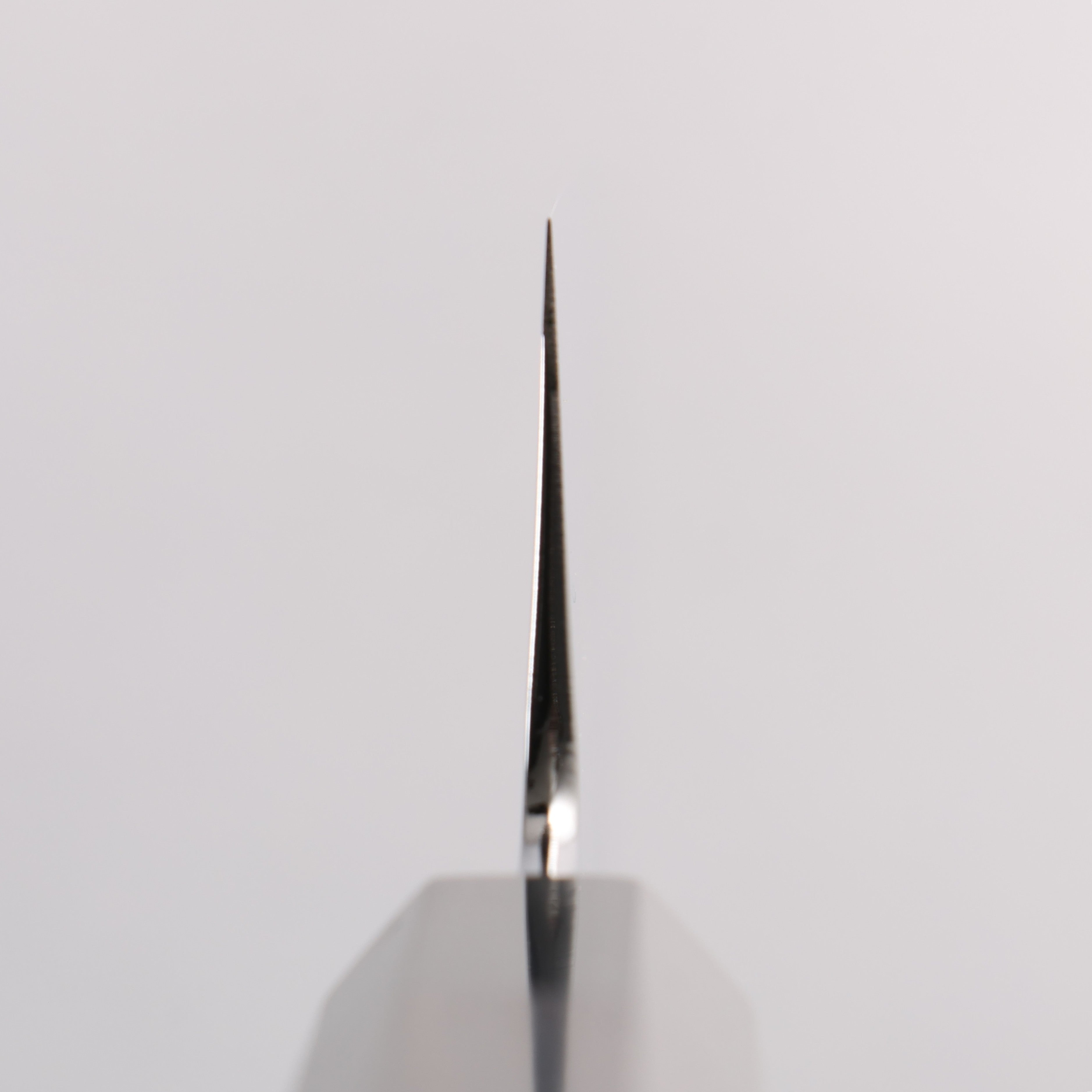 Choyo Silver Steel No.3 Migaki Kiritsuke Gyuto 210mm Ebony Wood & Black Water Buffalo Horn Handle - Seisuke Knife