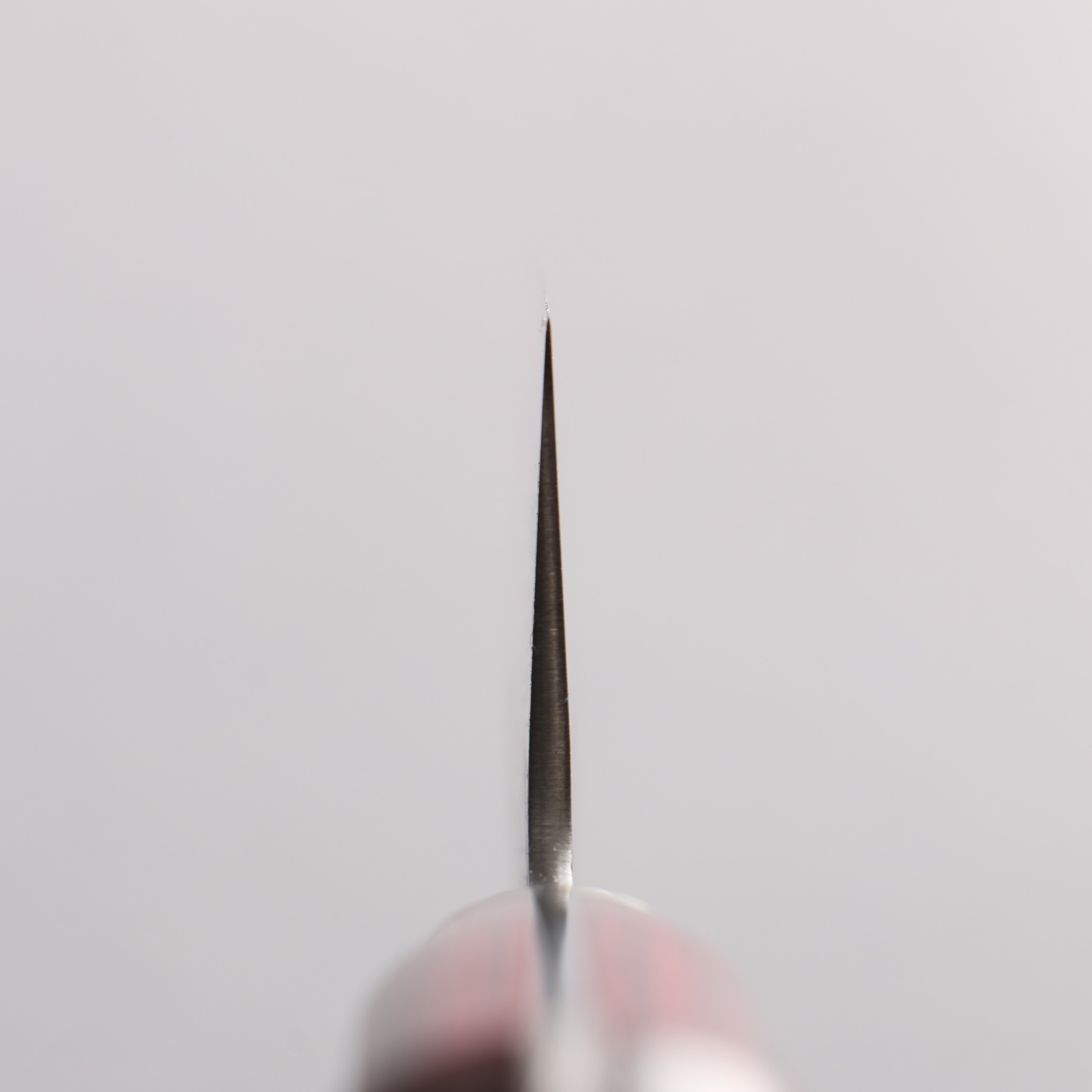 Seisuke Kuronashi Blue Super Nashiji Kurouchi Gyuto 210mm Red Pakka wood Handle - Seisuke Knife