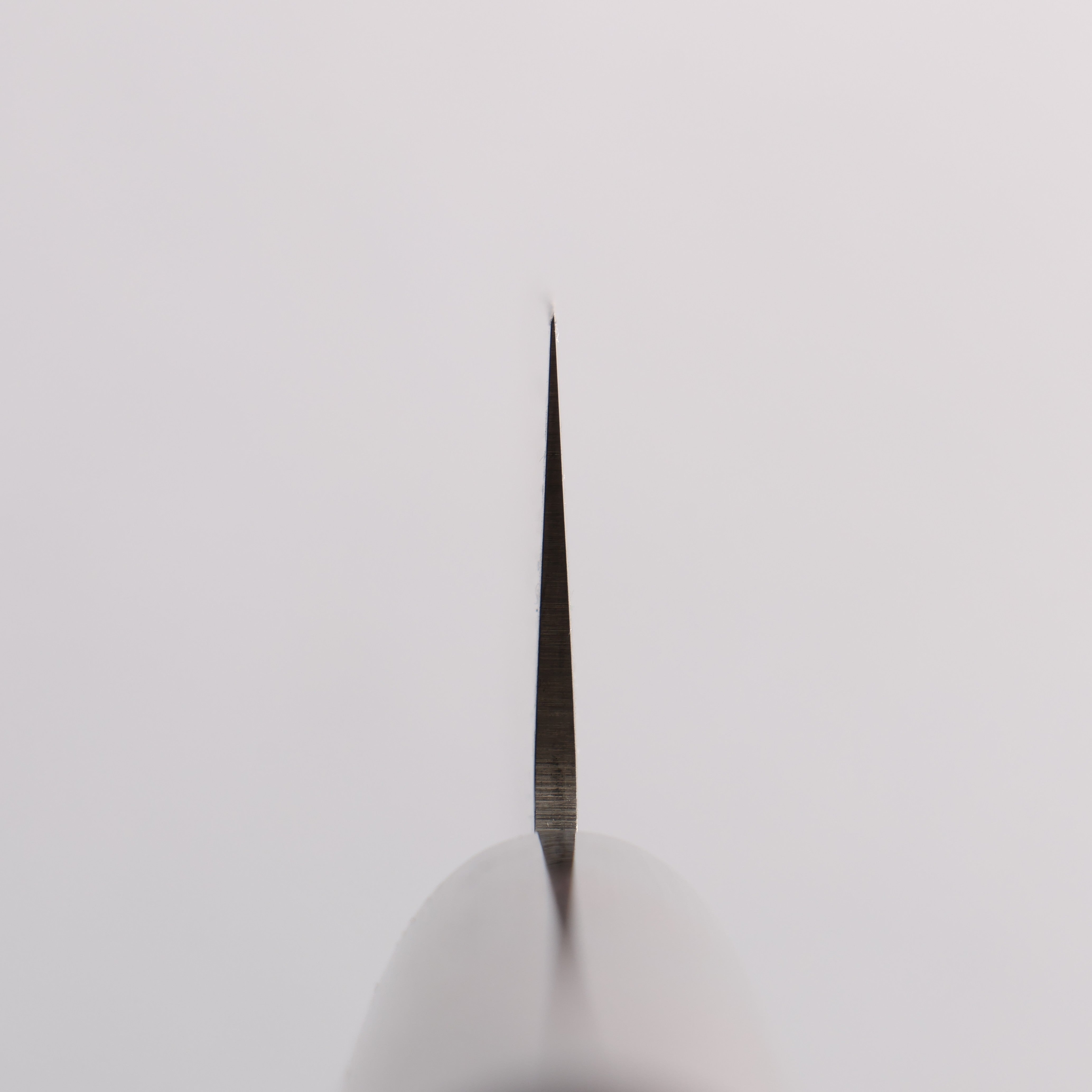 Sakai Takayuki 45 Layer Damascus Nakiri 160mm with Shitan Handle - Seisuke Knife