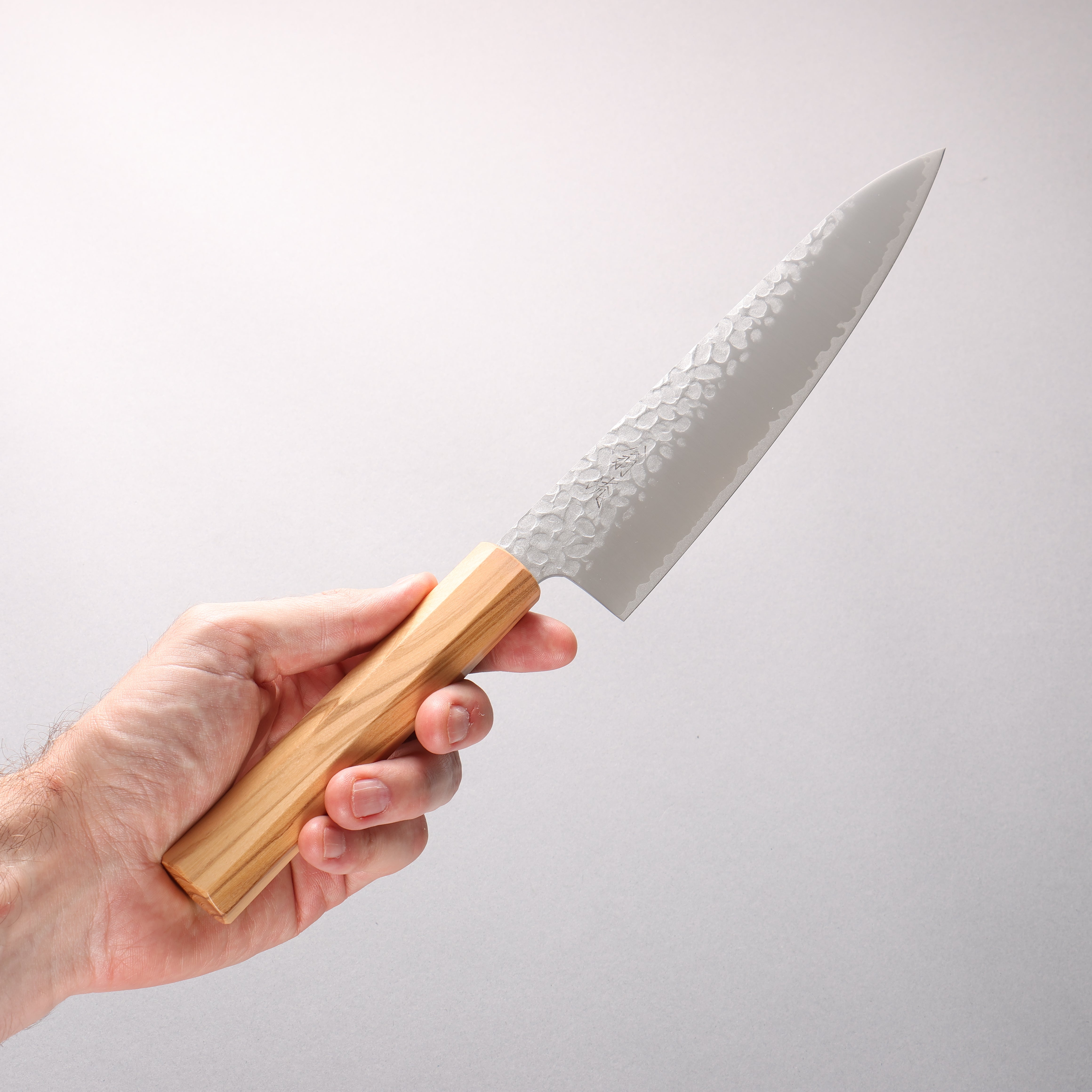Oul VG10 Hammered Gyuto 200mm Olive tree Handle - Seisuke Knife