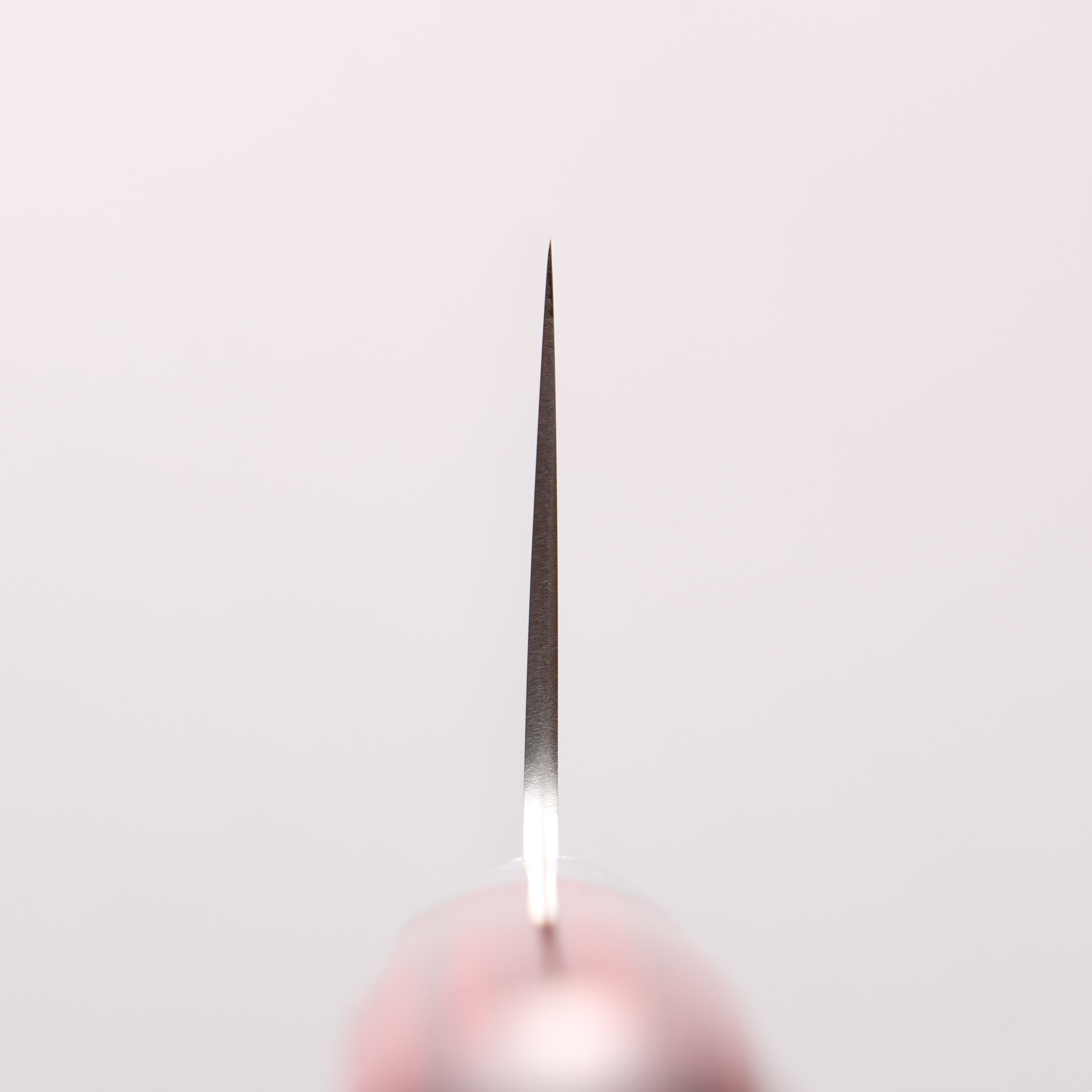 Takamura Knives SG2 Gyuto 210mm with Red Pakkawood Handle - Seisuke Knife