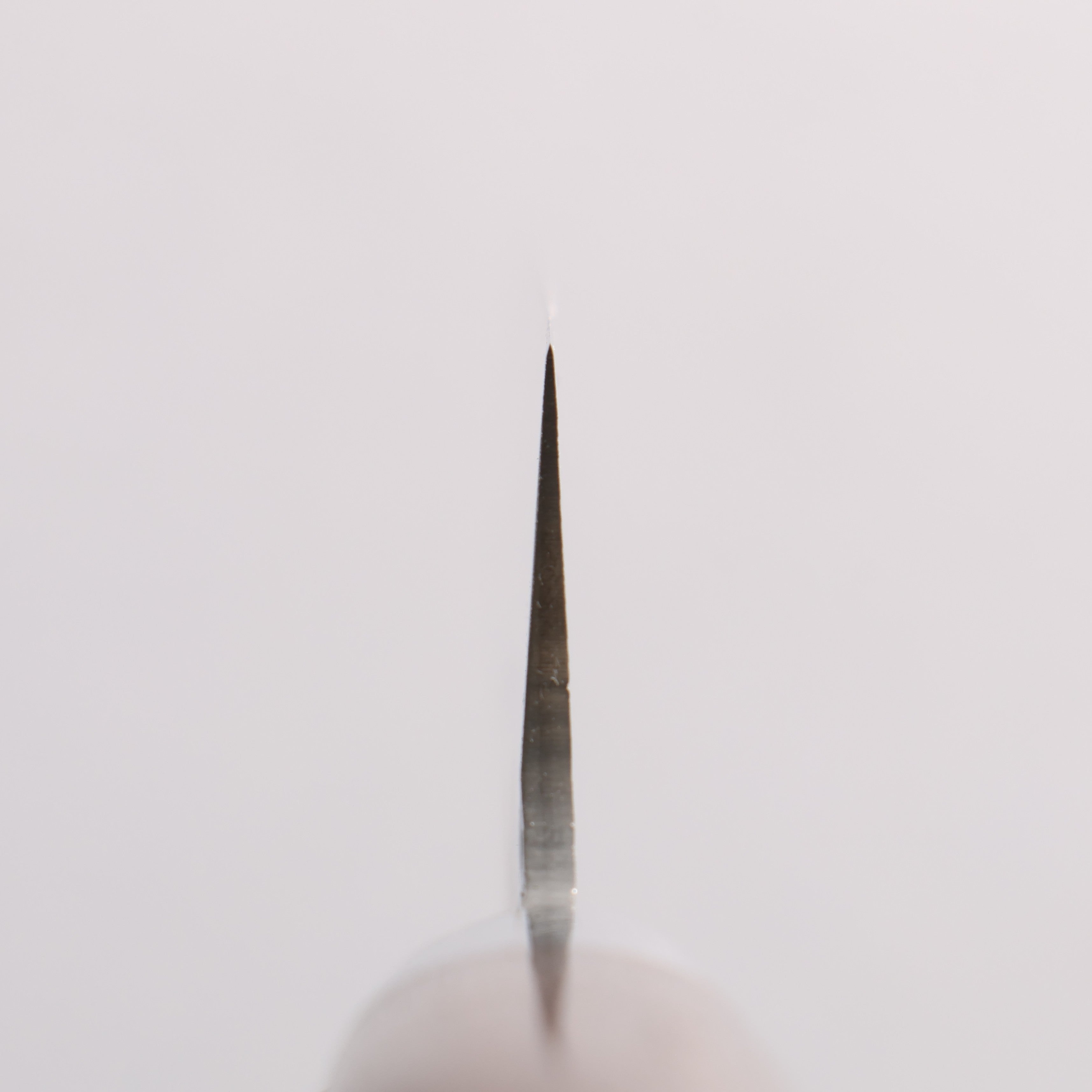 Sakai Takayuki SG2 Hammered Damascus Migaki Finished Sujihiki 240mm Rosewood Handle