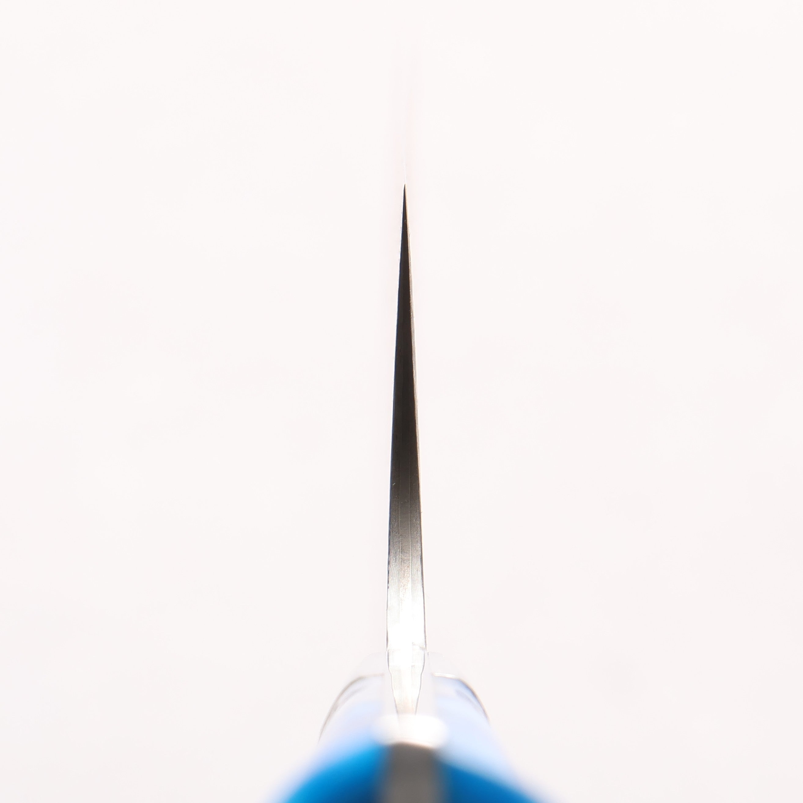 Takeshi Saji SG2 Black Damascus Nakiri 165mm Blue and White Acrylic Handle