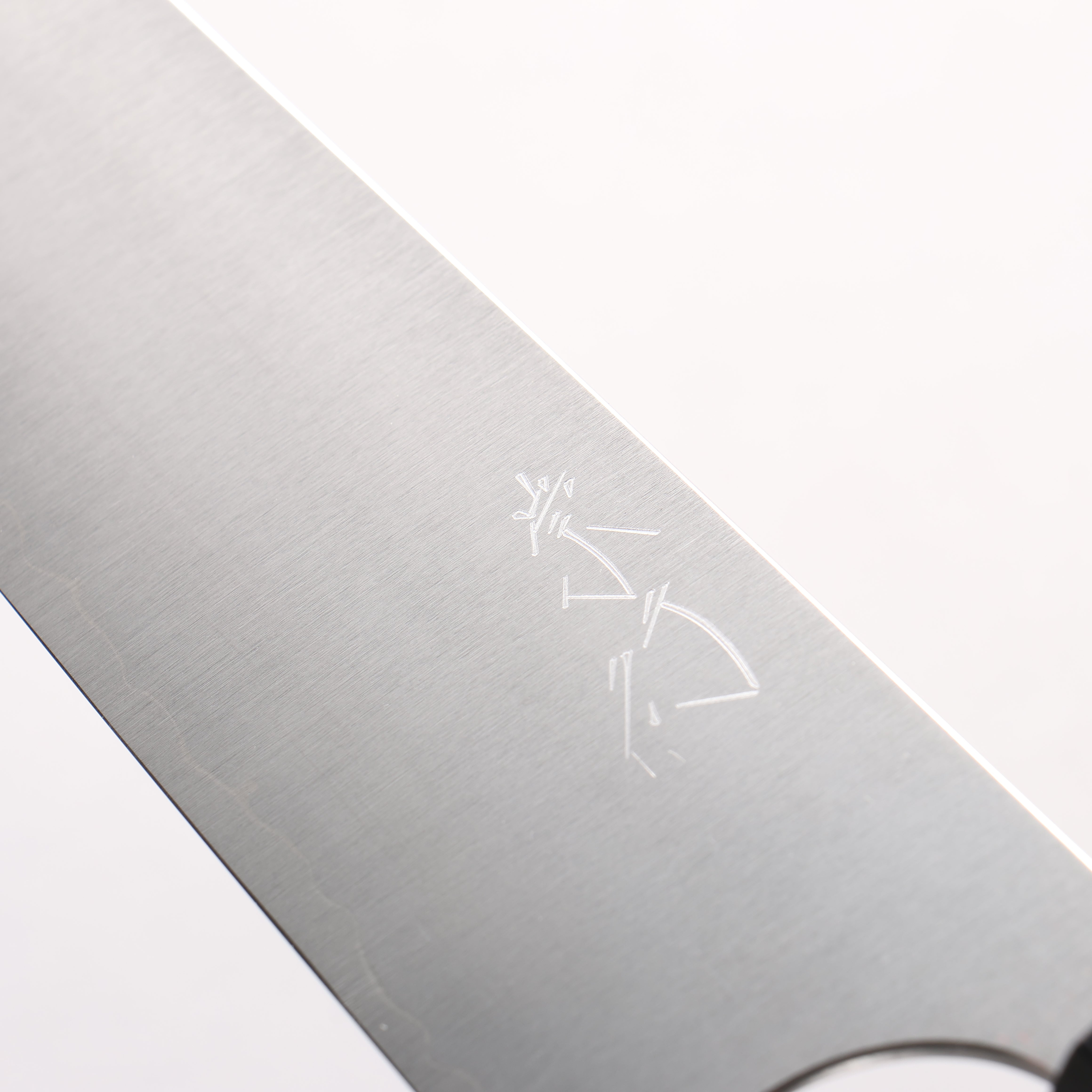 Shibata Takayuki Koutetsu SG2 Gyuto 210mm Rosewood (Ferrule: Black Pakka Wood) Handle - Seisuke Knife