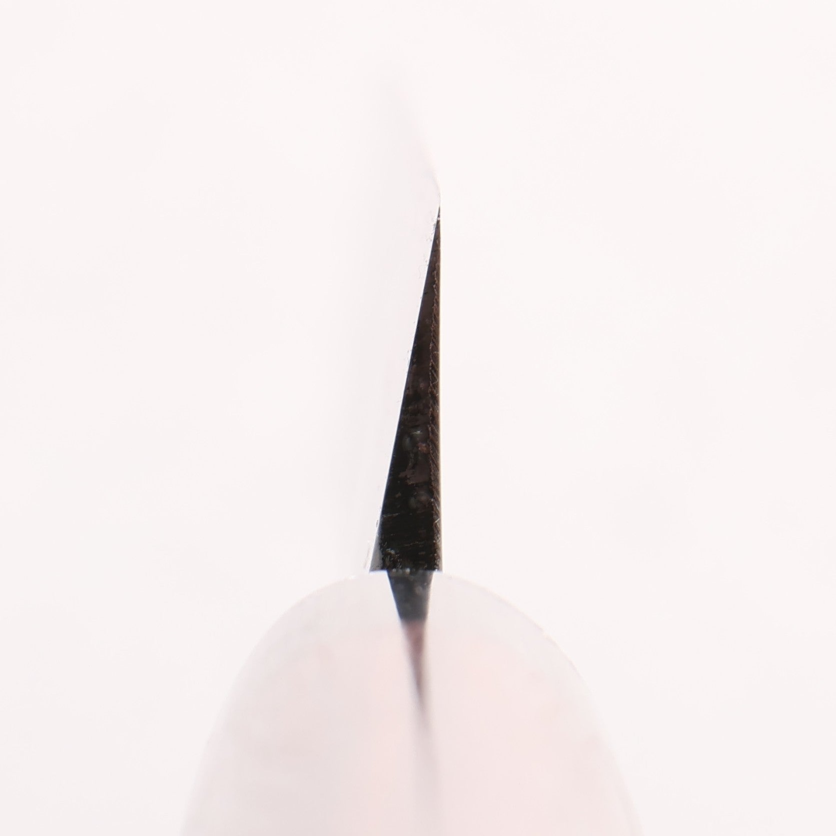 Seisuke White Steel Kasumitogi Yanagiba 240mm Rosewood (ferrule: Black Pakka wood) Shinogi Handle