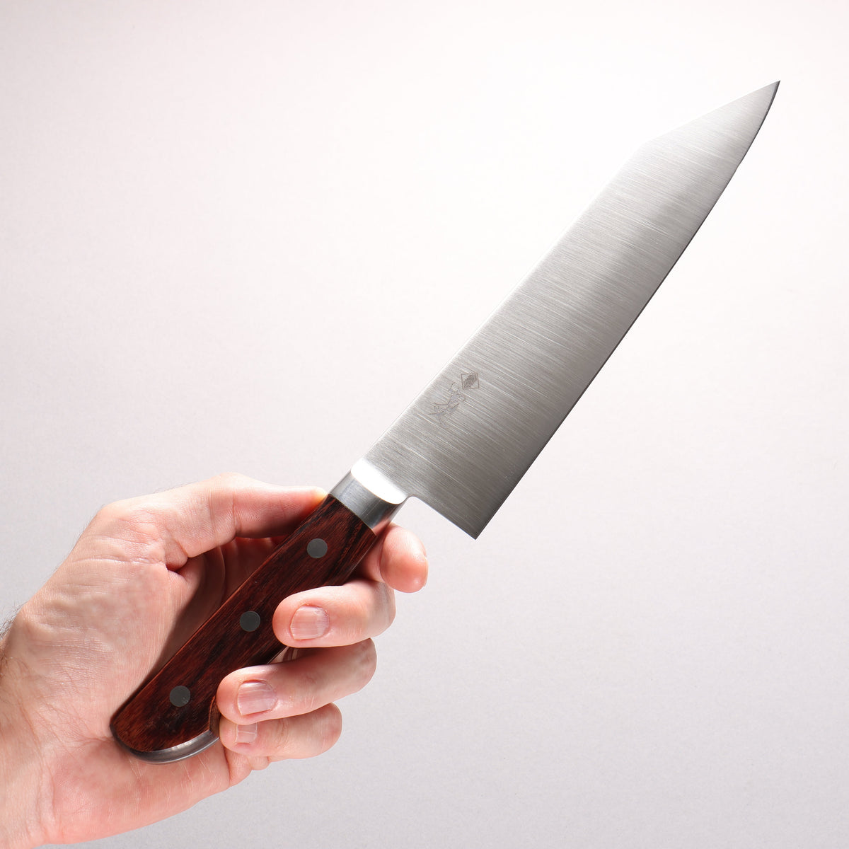Kanjyo VG10 Kiritsuke Gyuto 210mm Mahogany Pakka wood Handle - Seisuke Knife