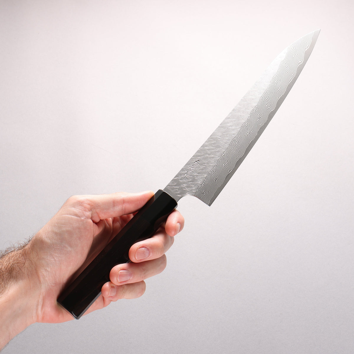 Nigara SPG STRIX Hammered Damascus Sujihiki 240mm Ebony Wood (ferrule: Black Water Buffalo Horn) Handle