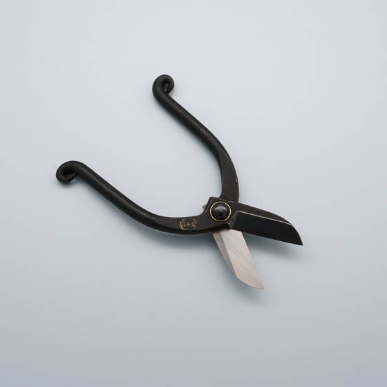 Sakai Takayuki Carbon Steel Flower Scissors 165mm - Seisuke Knife