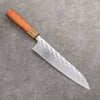 Takeshi Saji SPG STRIX Hammered Migaki Finished Gyuto 210mm Chinese Quince Burl & Bocote Handle - Seisuke Knife