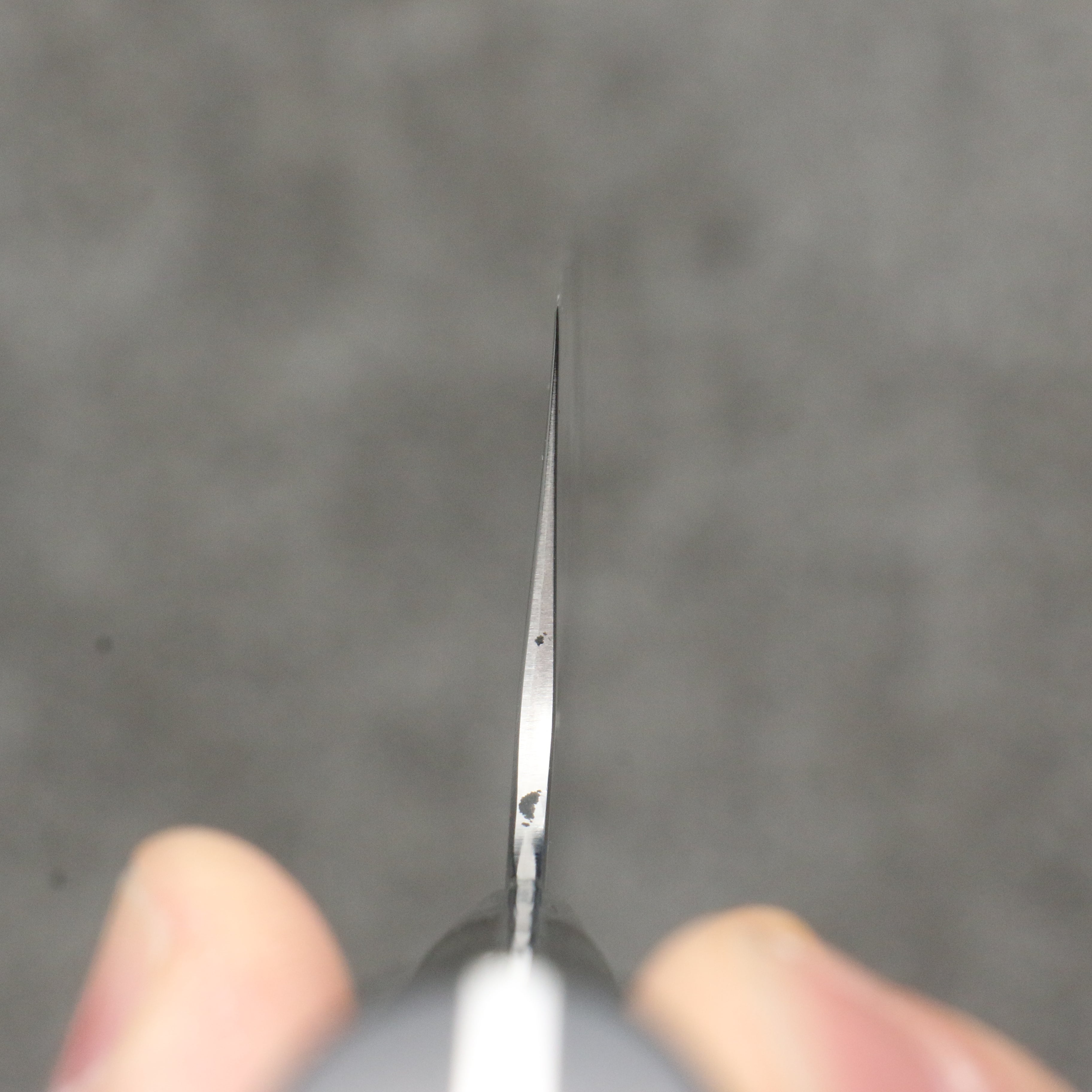 Takeshi Saji SRS13 Hammered Nakiri180mm Black Micarta Handle - Seisuke Knife