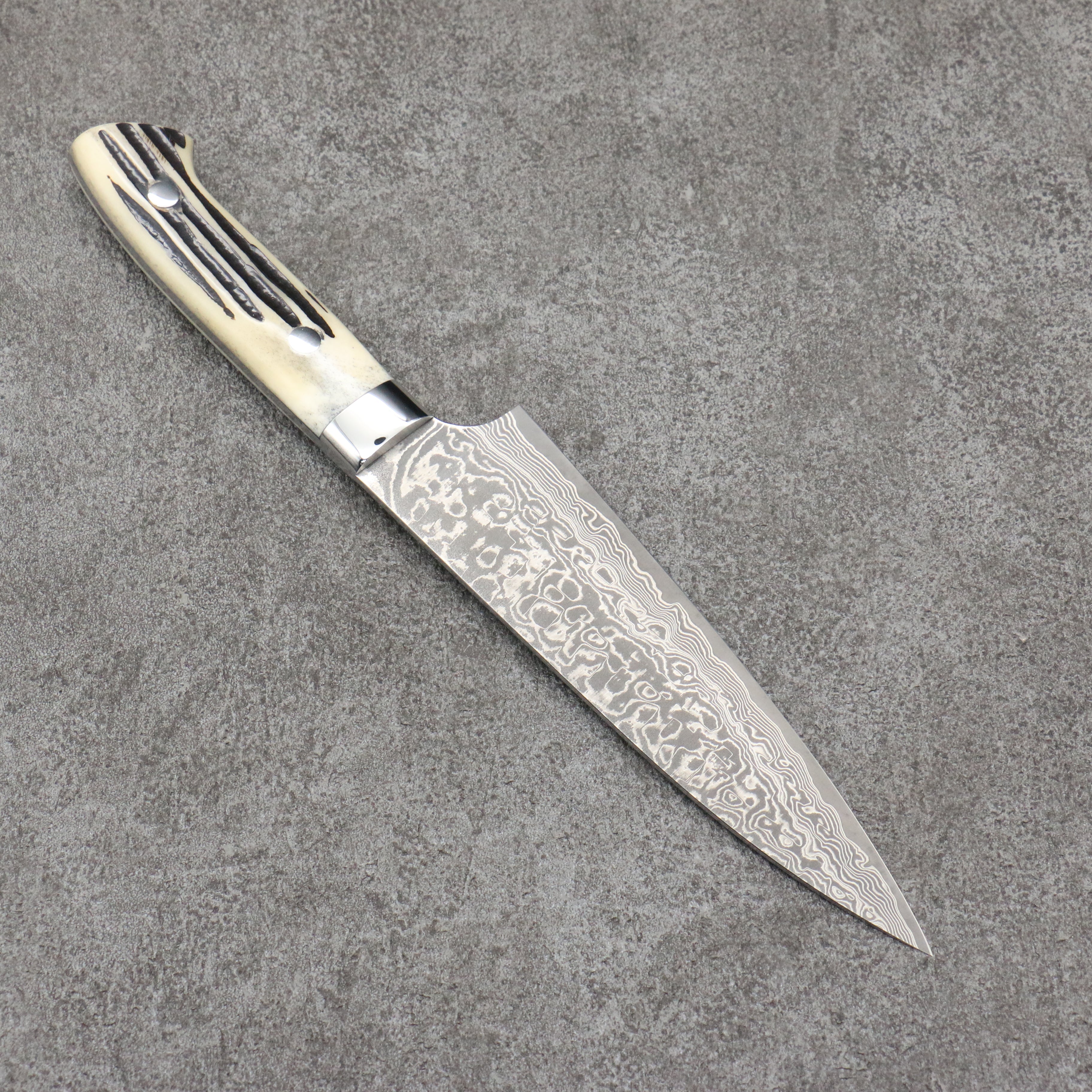 Takeshi Saji SG2 Black Damascus Gyuto150mm White Deer Horn Handle - Seisuke Knife