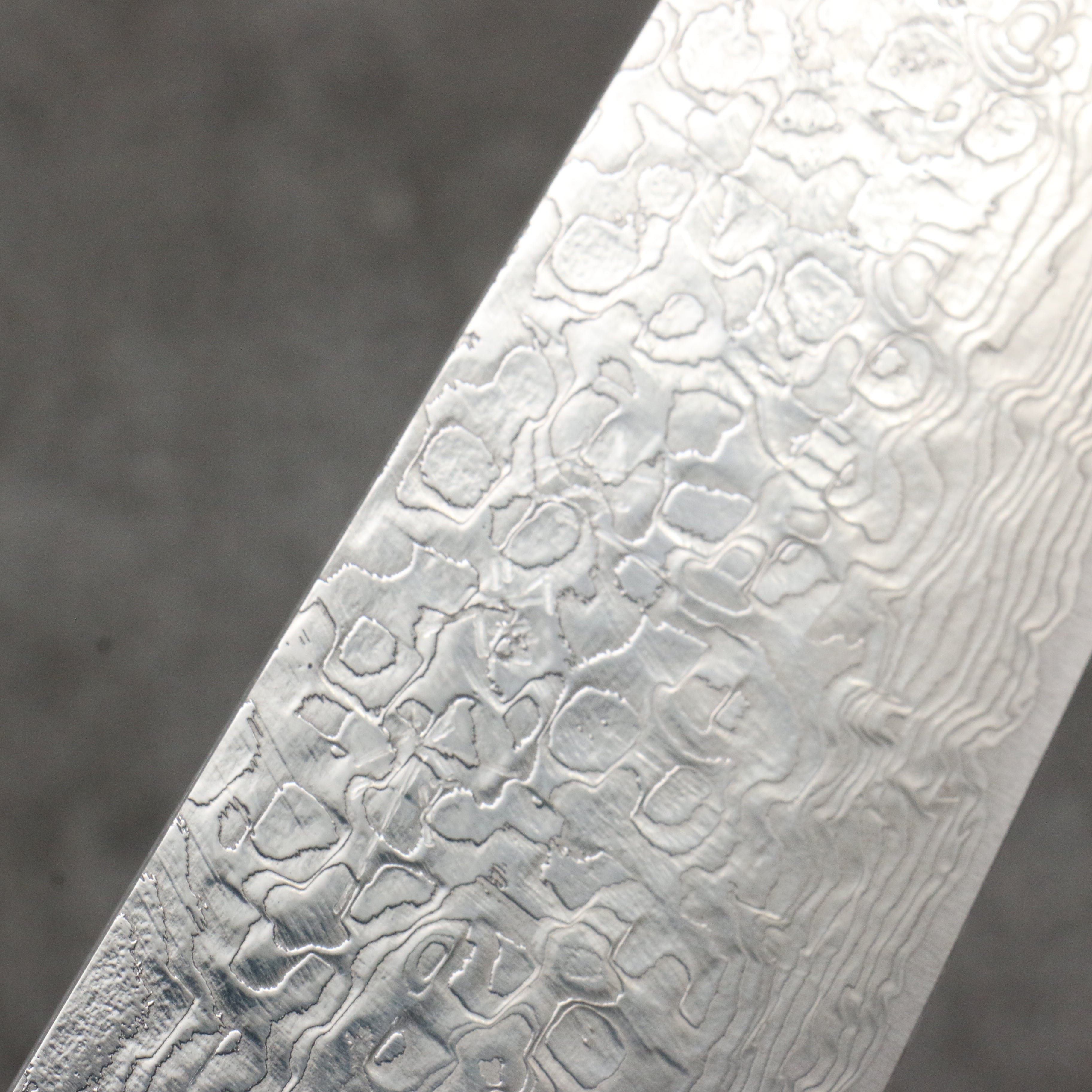 Takeshi Saji Maki-e Art Fuji and Waves Sheath SG2 Damascus Diamond Finish Gyuto  210mm Maki-e Art Handle with Sheath - Seisuke Knife