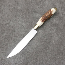  Meguru Stainless Steel Steak  Stag Handle - Seisuke Knife