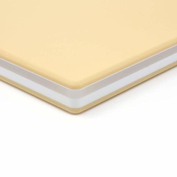 Hasegawa Cutting Board Pro-Soft Lite (440mm x 290mm) - Seisuke Knife