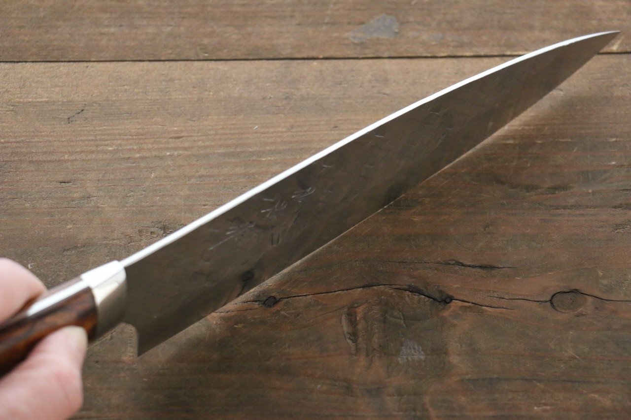 Takeshi Saji SRS13 Hammered Gyuto 210mm Ironwood Handle - Seisuke Knife