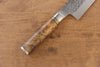 Takeshi Saji SG2 Hammered(Maru) Gyuto 210mm Chinese Quince Handle - Seisuke Knife - Slide 10