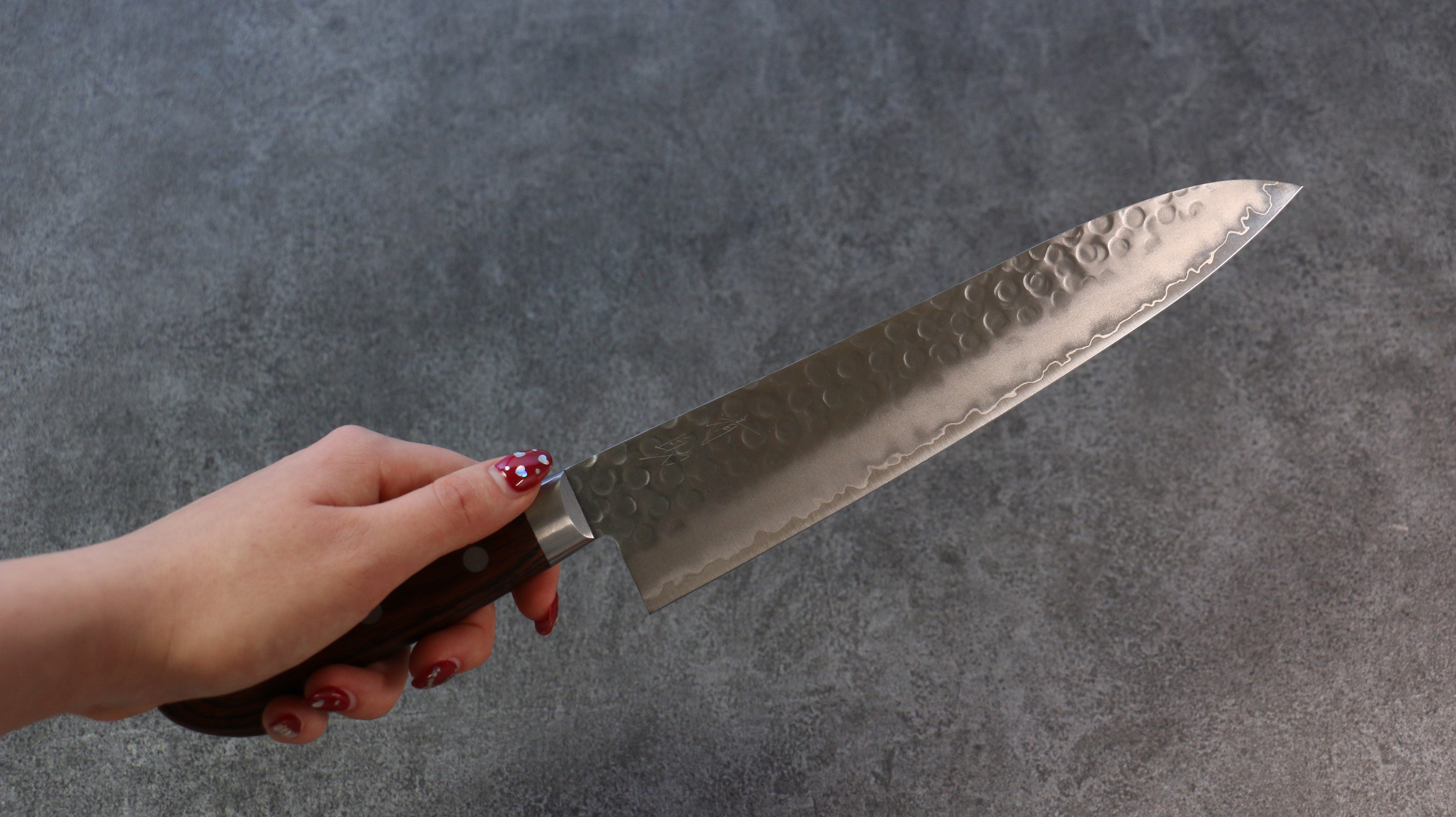 Seisuke Swedish Steel-stn Hammered Gyuto 210mm Mahogany Handle - Seisuke Knife