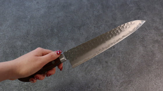 Seisuke Swedish Steel-stn Hammered Gyuto 210mm Mahogany Handle - Seisuke Knife