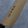 Kanetsune DSR-1K6 Hammered Gyuto 210mm Red Pakka wood Handle - Seisuke Knife