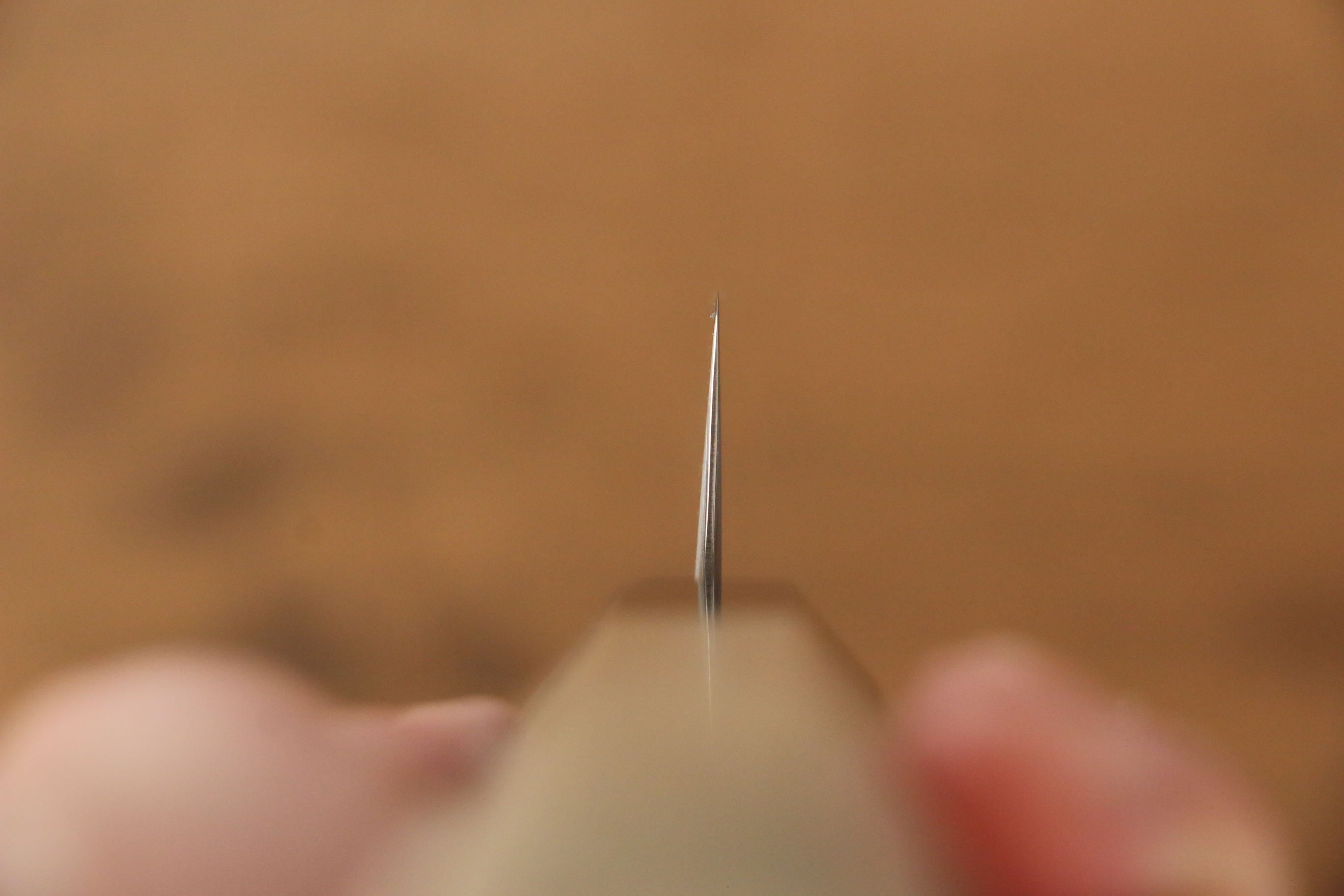 Jikko SG2 Sujihiki  240mm Magnolia Handle - Seisuke Knife