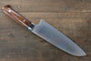 Takeshi Saji Blue Steel No.2 Colored Damascus Santoku 180mm Ironwood Handle - Seisuke Knife - Slide 2