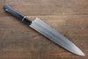 Takeshi Saji Blue Steel No.2 Colored Damascus Gyuto 270mm Ebony with Ring Handle - Seisuke Knife