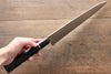 Takeshi Saji Blue Steel No.2 Colored Damascus Gyuto 270mm Ebony with Ring Handle - Seisuke Knife