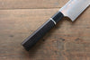 Takeshi Saji Blue Steel No.2 Colored Damascus Gyuto 270mm Ebony with Ring Handle - Seisuke Knife