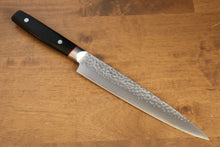  Seisuke PRO-J VG10 Hammered Slicer 210mm Black Micarta Handle - Seisuke Knife