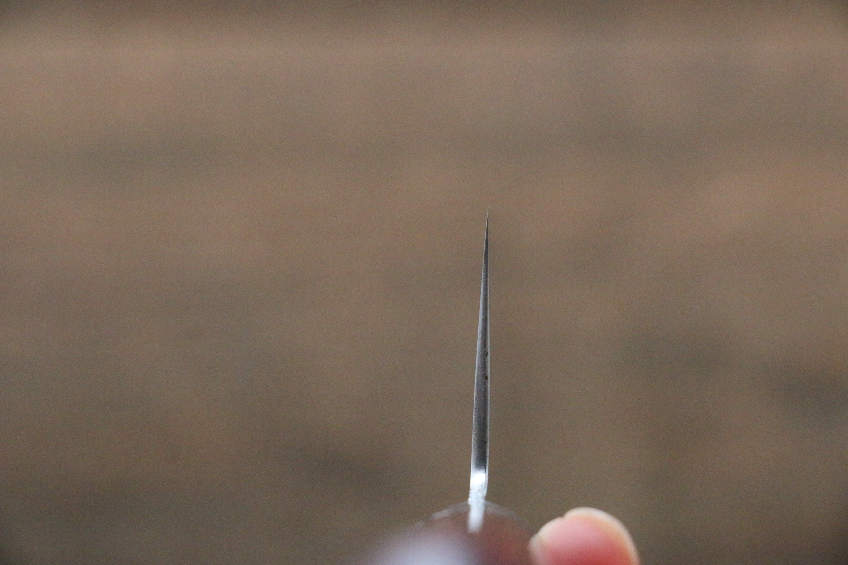 Takamura Knives SG2 Gyuto 210mm with Red Pakkawood Handle - Seisuke Knife