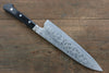 Fujiwara Teruyasu Fujiwara Teruyasu Maboroshi White Steel No.1 Nashiji Hammered Gyuto 210mm with Black Pakka wood Handle - Seisuke Knife - Slide 2