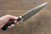 Fujiwara Teruyasu Fujiwara Teruyasu Maboroshi White Steel No.1 Nashiji Hammered Gyuto 210mm with Black Pakka wood Handle - Seisuke Knife - Slide 8