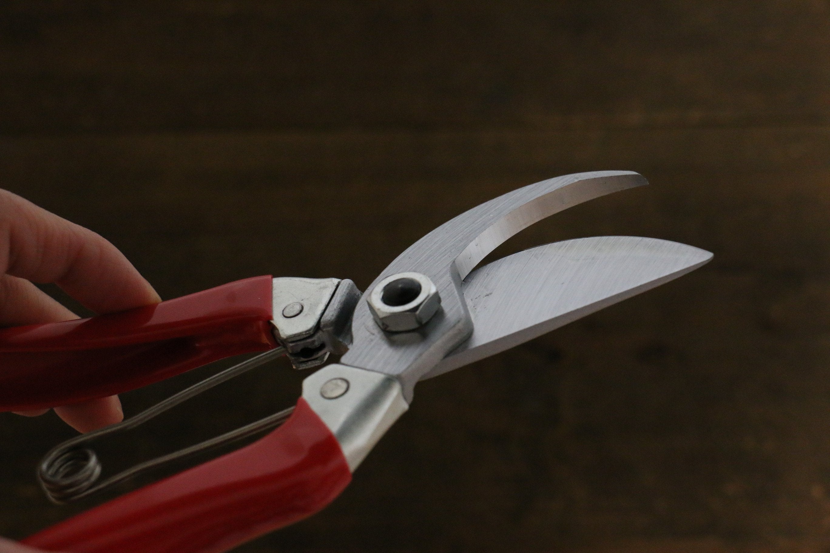 ARS 120S-8 Pruning Shears - Seisuke Knife