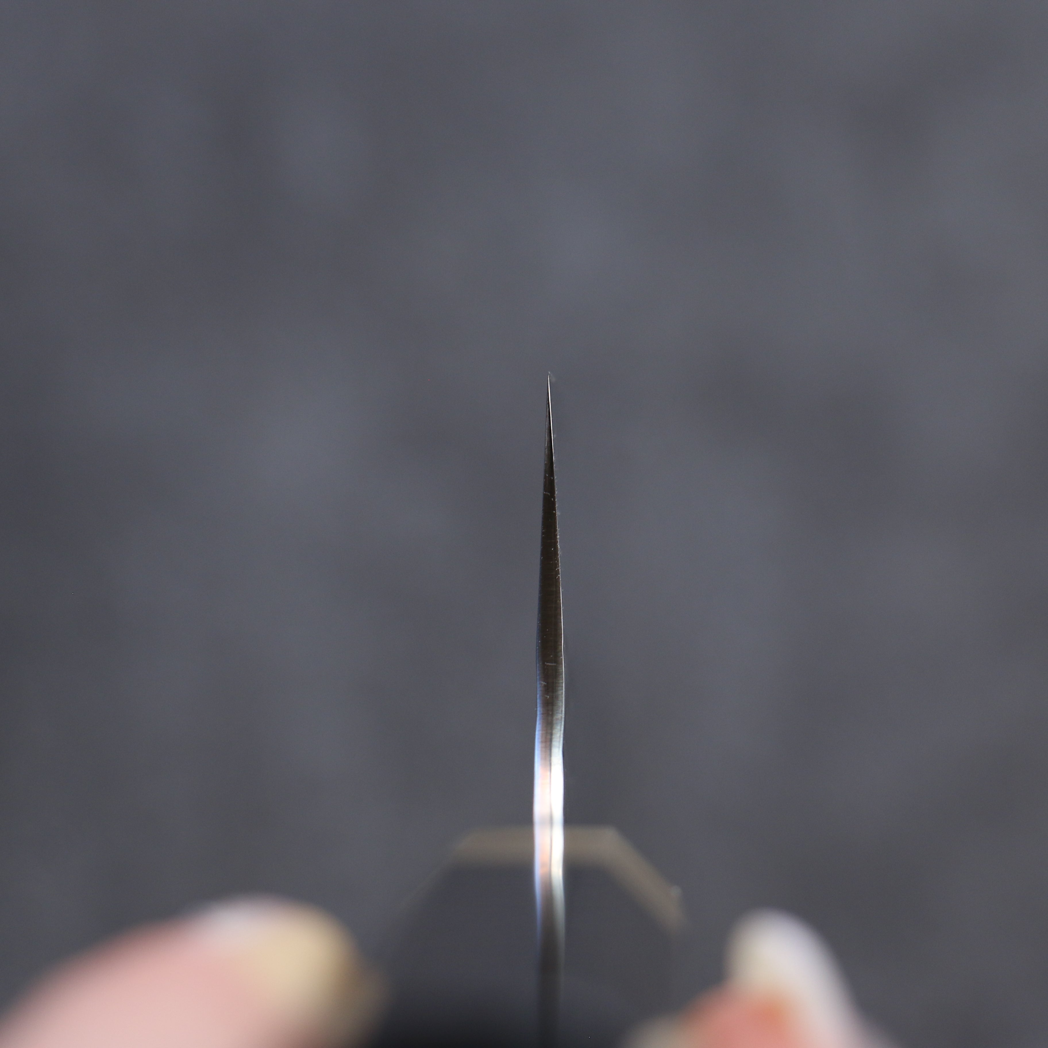 Yu Kurosaki Senko SG2 Hammered Gyuto 210mm Ebony Wood Handle - Seisuke Knife