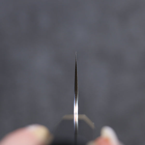 Yu Kurosaki Senko SG2 Hammered Gyuto 210mm Ebony Wood Handle - Seisuke Knife