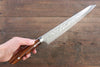 Takeshi Saji SRS13 Hammered Damascus Kiritsuke 240mm Ironwood Handle - Seisuke Knife