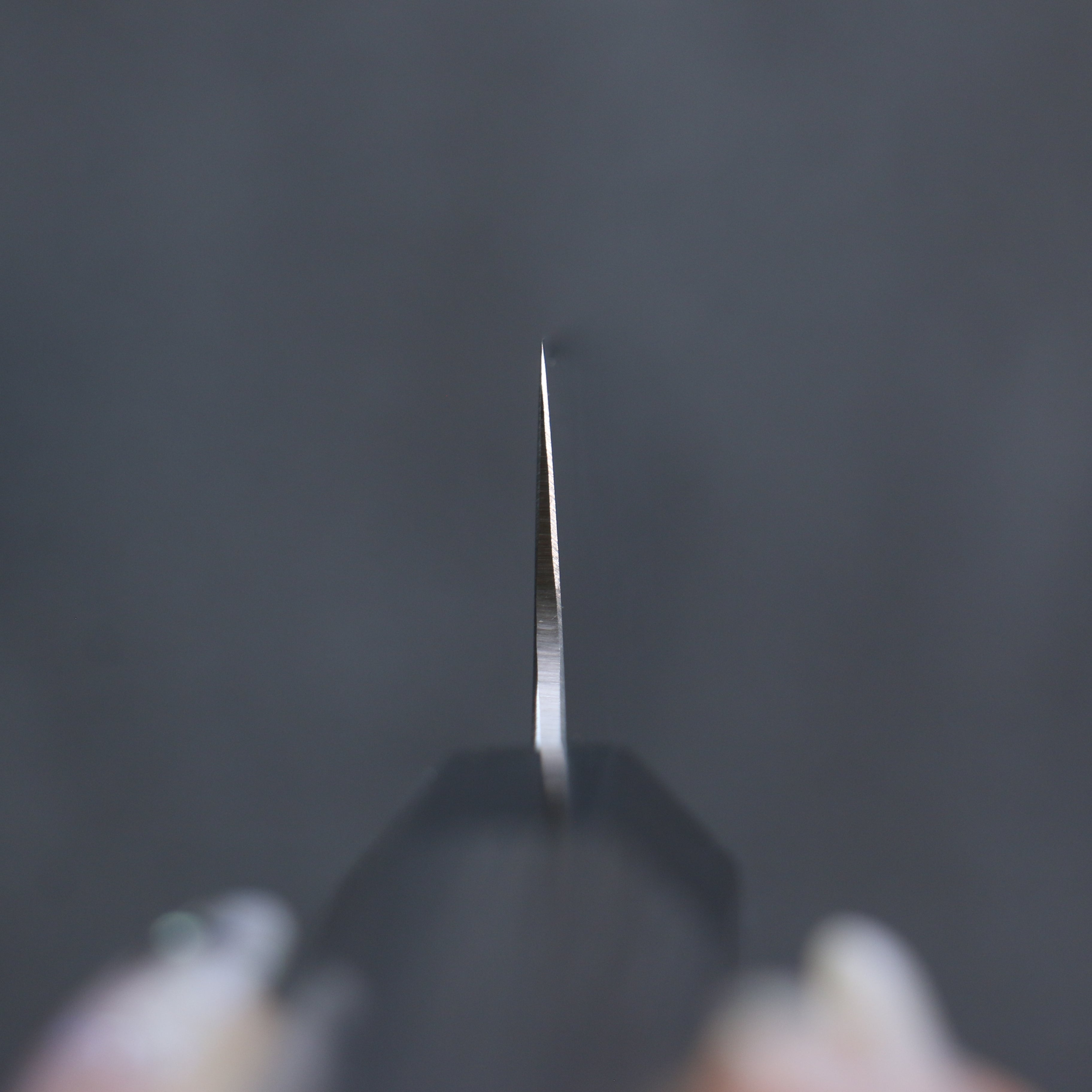 Seisuke Stainless Steel Bread Slicer 240mm Gray Pakka wood Handle - Seisuke Knife