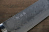 Takeshi Saji SRS13 Hammered Damascus Kiritsuke 270mm Ironwood Handle - Seisuke Knife