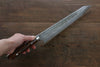 Takeshi Saji SRS13 Hammered Damascus Kiritsuke 270mm Ironwood Handle - Seisuke Knife