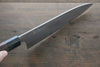 Sukenari SG2 3 Layer Gyuto 210mm with Shitan Handle - Seisuke Knife