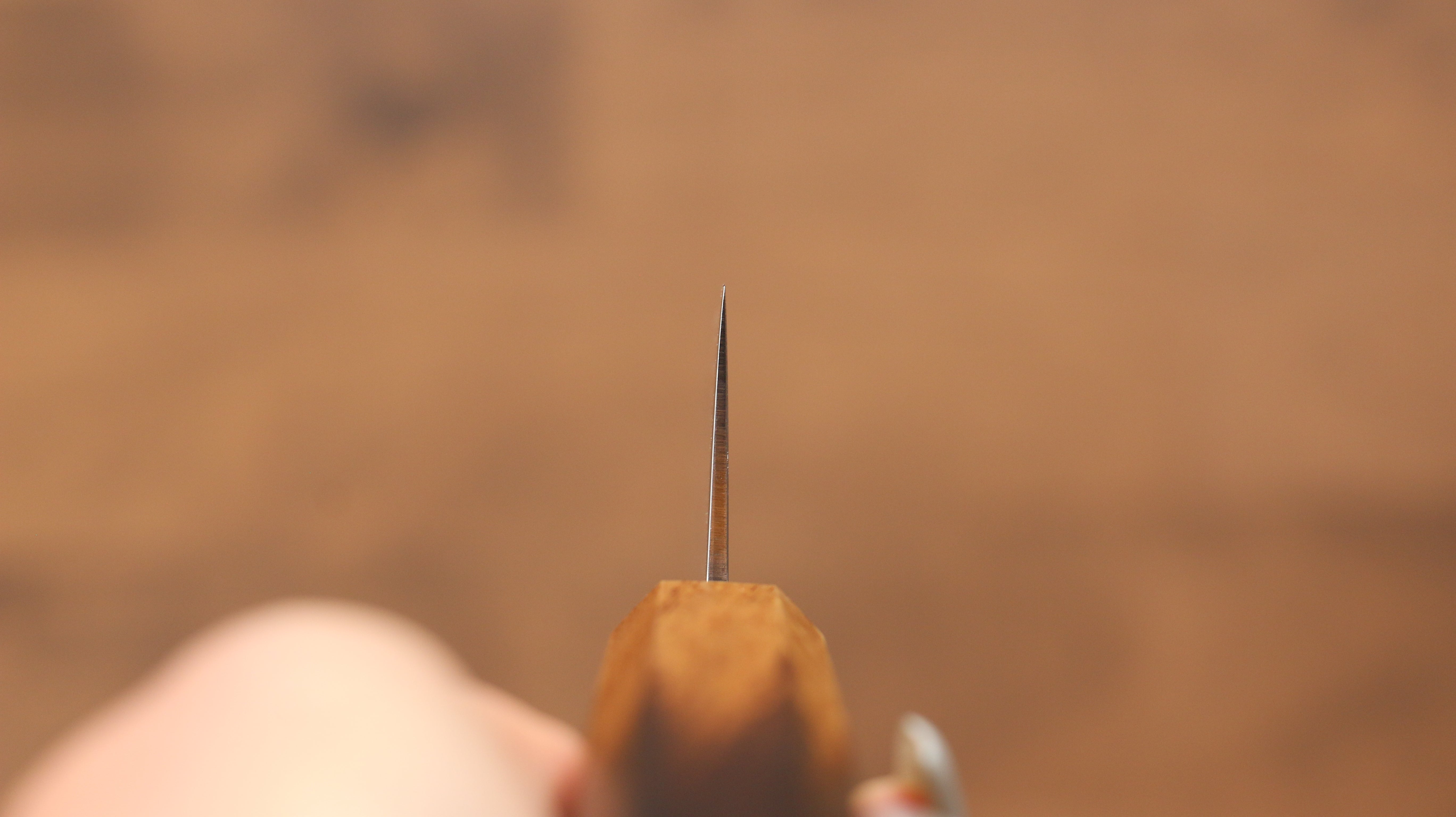 Kajin Cobalt Special Steel Damascus Gyuto 210mm Burnt Oak (Mehakkaku) Handle - Seisuke Knife