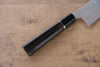 Takeshi Saji Blue Steel No.2 Colored Damascus Gyuto 180mm with Ebony with Ring Handle - Seisuke Knife