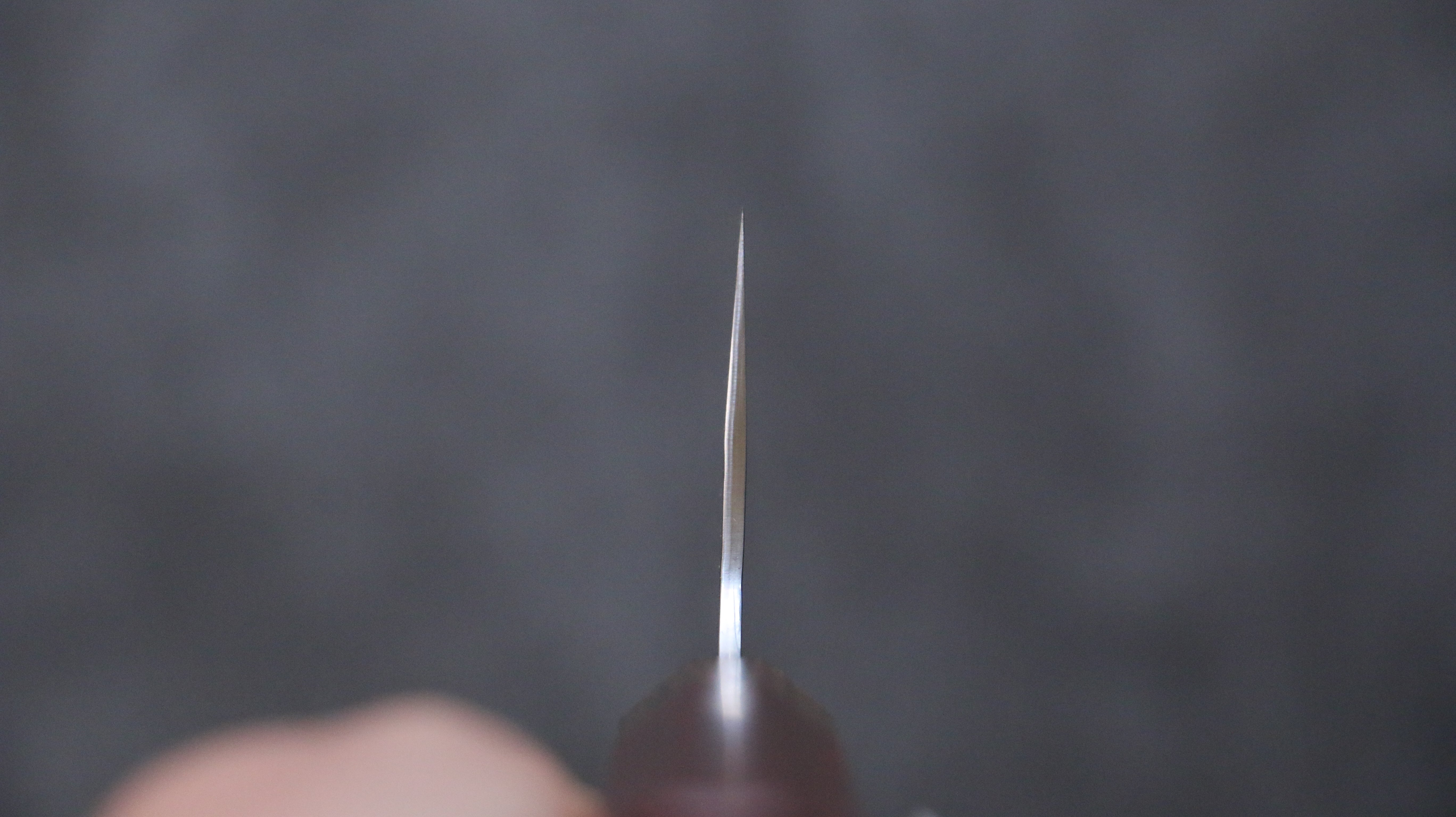 Yu Kurosaki Senko Ei SG2 Hammered Gyuto 240mm Padoauk Handle - Seisuke Knife