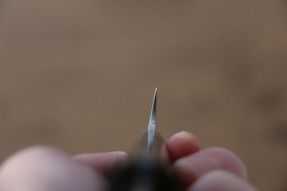 Takeshi Saji VG10 Black Damascus Petty-Utility 90mm Ironwood Handle - Seisuke Knife